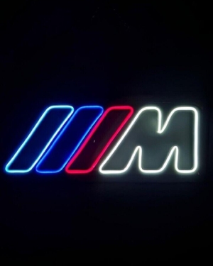 Özel Tasarım Neon Logo 60x30 cm El Yapımı